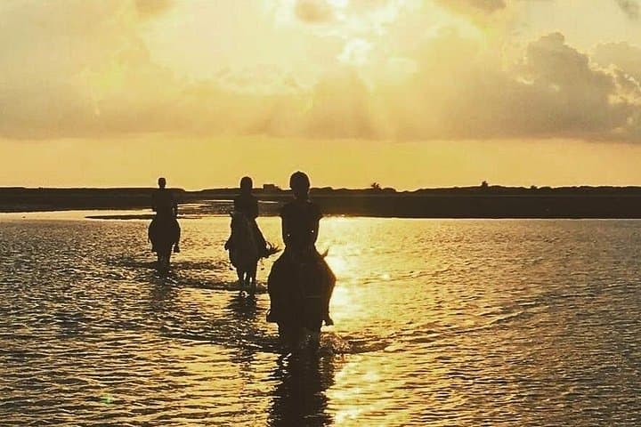 Djerba Discovery Ride: 2.5-Hour Horse & Camel Trek to the Lagoon