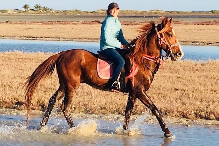 Djerba Discovery Ride: 2.5-Hour Horse & Camel Trek to the Lagoon photo 2