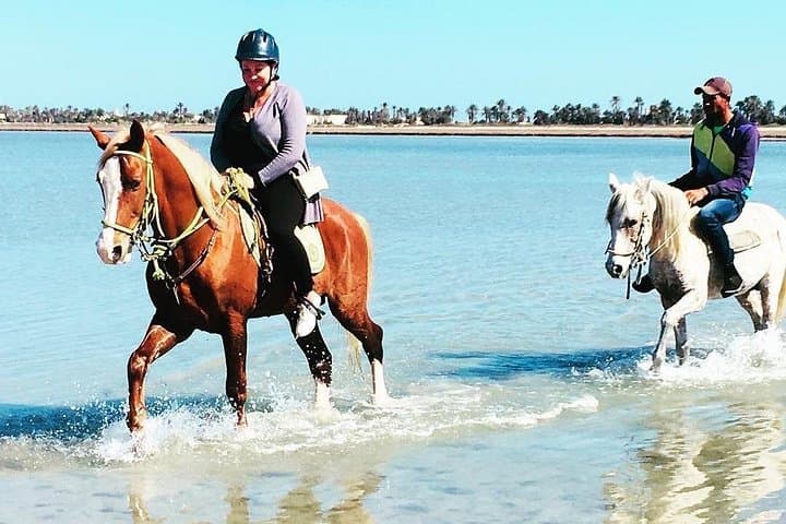 Djerba Discovery Ride: 2.5-Hour Horse & Camel Trek to the Lagoon photo 3