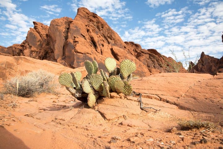 Valley of Fire and Lost City Museum Tour — Day Trip from Las Vegas photo 3