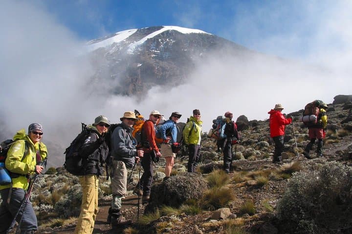 Marangu Route Kilimanjaro 9-Day Climb: Summit Uhuru Peak with Tusker Trail photo 2
