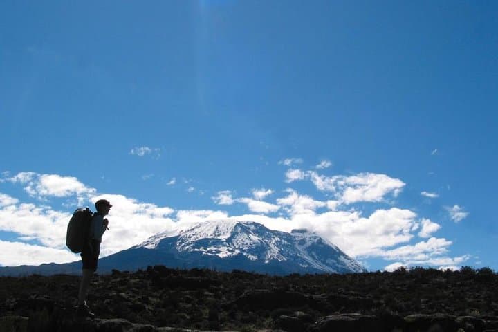 Marangu Route Kilimanjaro 9-Day Climb: Summit Uhuru Peak with Tusker Trail photo 3