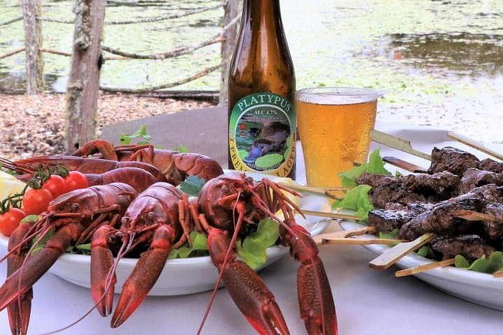 Atherton Tablelands Food & Wine Tasting Tour from Cairns photo 6