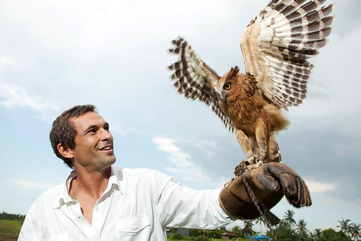 Meet the Feathered Residents: Visitor Guide to Bali Bird Park photo 4