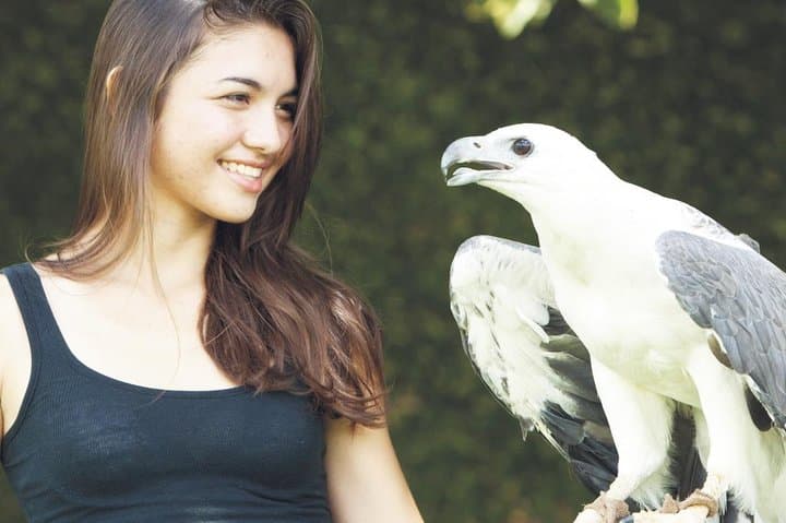 Meet the Feathered Residents: Visitor Guide to Bali Bird Park photo 5