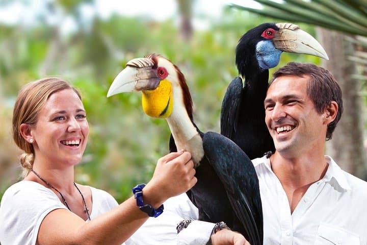 Meet the Feathered Residents: Visitor Guide to Bali Bird Park