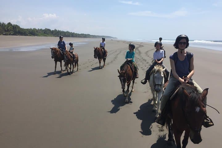 Ethical Beach Horseback Ride Between Jaco and Manuel Antonio