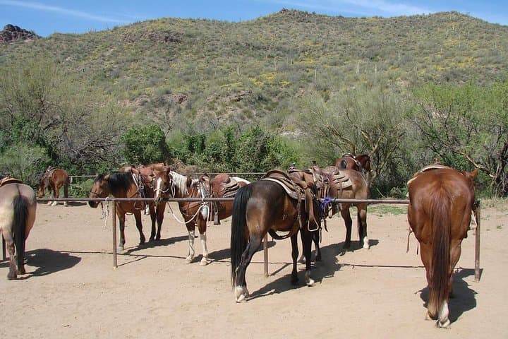 Old West Day Adventure: Horseback Ride & Cowboy Lunch near Phoenix photo 3