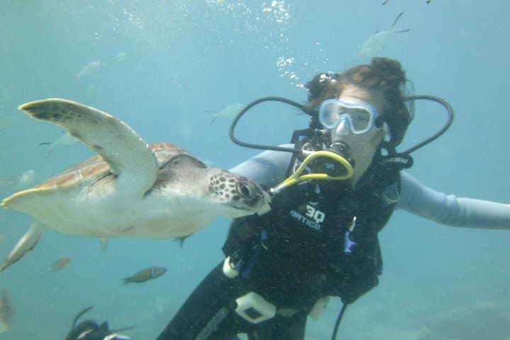PADI Open Water Diver Course in Tenerife: Discover the Volcanic Reefs photo 2