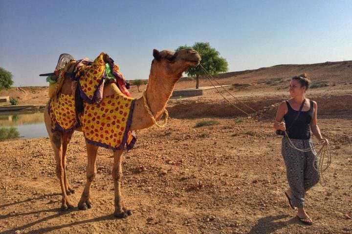 Overnight Camel Safari and Desert Camping in Jaisalmer’s Sam Sand Dunes photo 4
