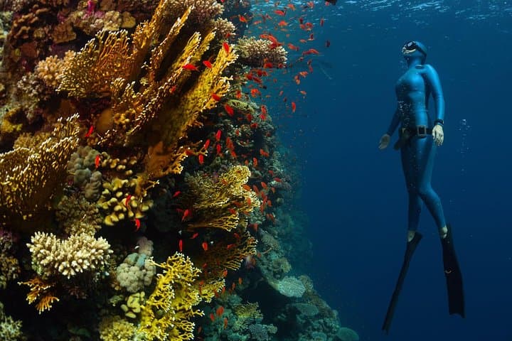 Try Freediving on Nusa Penida — Intro Freedive Course & Reef Experience photo 4