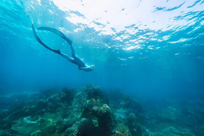 Try Freediving on Nusa Penida — Intro Freedive Course & Reef Experience photo 5