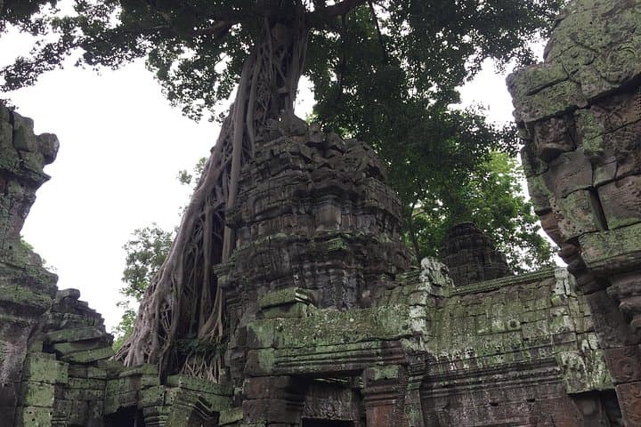 Angkor Sunrise: 3-Day Private Bike Tour from Siem Reap photo 4