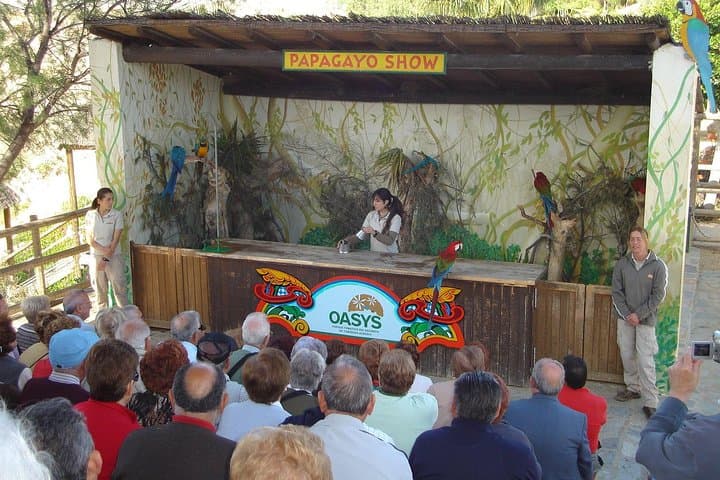 Experience Mini Hollywood Oasys: Full-Day Western Theme Park & Tabernas Desert Adventure photo 4
