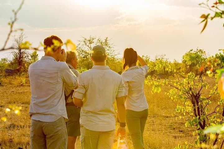 Ultimate 3-Day Victoria Falls Safari: Zambezi Cruises, Game Drives & Rainforest Walks photo 5