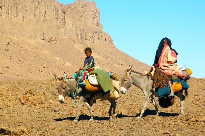 Agafay Desert & Atlas Waterfalls: Full-Day Tour from Marrakech photo 5