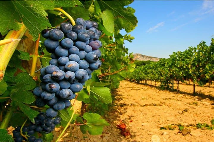 Western Sicily 3-Day Cultural Tour: Palermo, Erice, Segesta & Cefalù