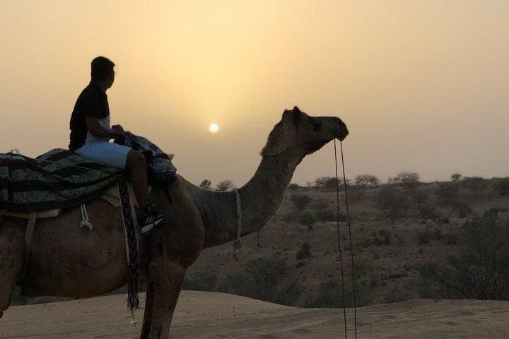3-Day Private Jodhpur Tour: Mehrangarh, Bishnoi Villages & Osian Desert Safari photo 3