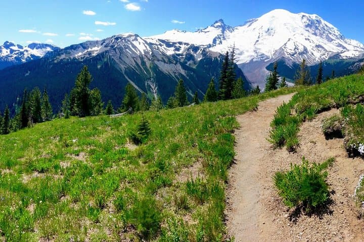 Hike Mt. Rainier and Taste Yakima Valley Wine — All-Inclusive Day Tour from Seattle