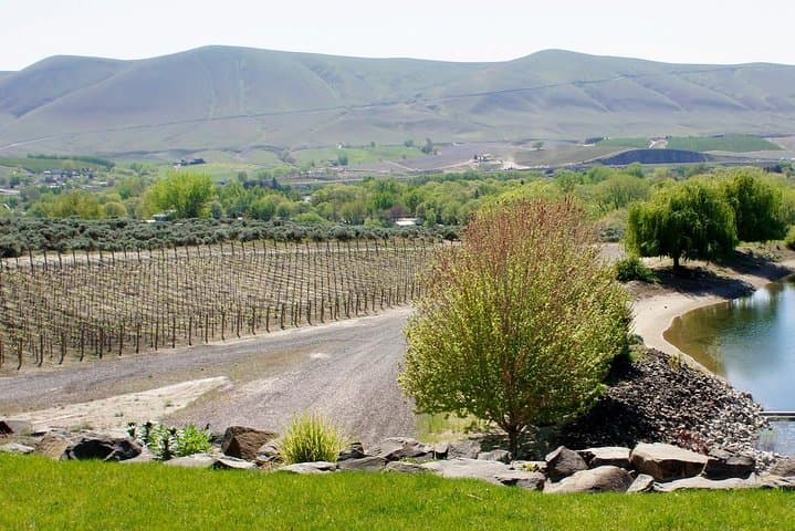 Hike Mt. Rainier and Taste Yakima Valley Wine — All-Inclusive Day Tour from Seattle photo 3