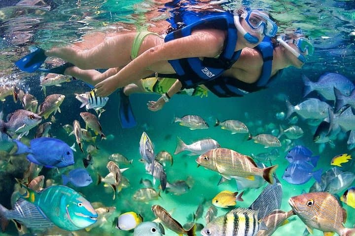 Sail to Isla Mujeres: Catamaran Snorkel, Beach Club Buffet & Open Bar photo 3