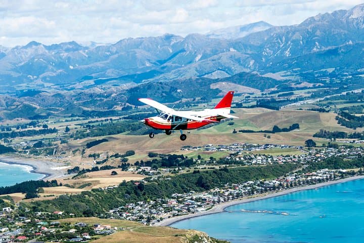 Kaikoura Whale Watching Flight: Aerial Sperm Whale Tours & Coastal Views photo 5