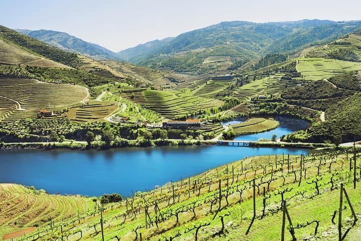 Douro Wine Day Tour: Small-Group Van, Tastings, Lunch & Rabelo Cruise