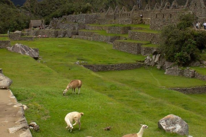 5-Day Machu Picchu and Sacred Valley Highlights Tour from Cusco photo 6