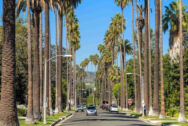 Explore LA in Style: Private 7-Hour Limo Tour of Hollywood, Beverly Hills, Santa Monica & Malibu photo 2