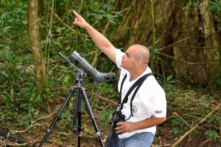 Manuel Antonio Guided Nature Walk: Wildlife, Beaches & Expert Naturalists photo 4