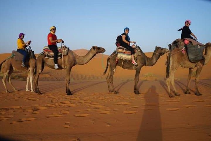 Erfoud to Merzouga Desert Sunset Camel Ride with Berber Dinner & Music photo 4