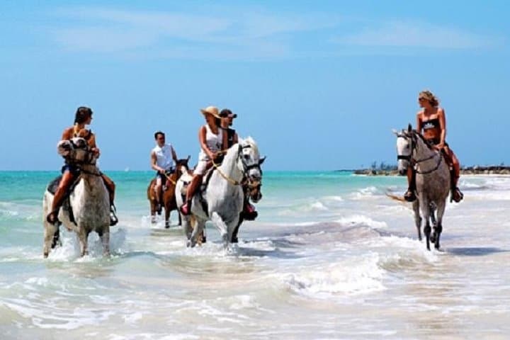 Gallop into Paradise: Riding Along Punta Cana's Shores photo 2