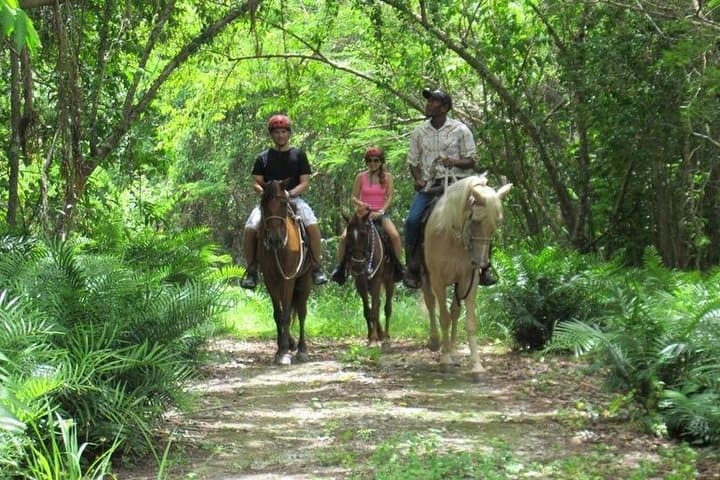Gallop into Paradise: Riding Along Punta Cana's Shores photo 3