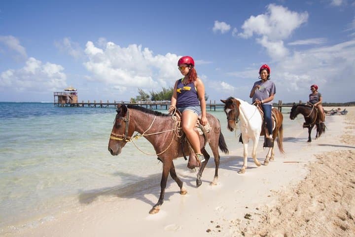 Gallop into Paradise: Riding Along Punta Cana's Shores photo 4