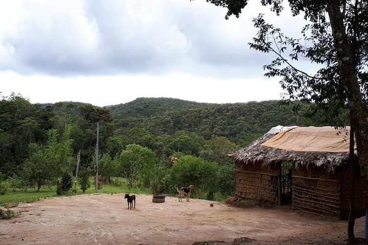 Guarani Tribe Experience — Indigenous Village Visit Near São Paulo photo 2