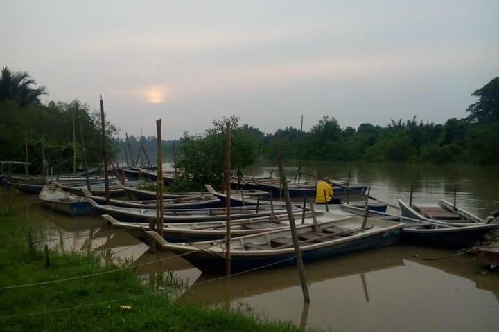 Kuala Selangor Fireflies and Eagle Feeding: Private Evening Boat Tour with Village Dinner photo 2