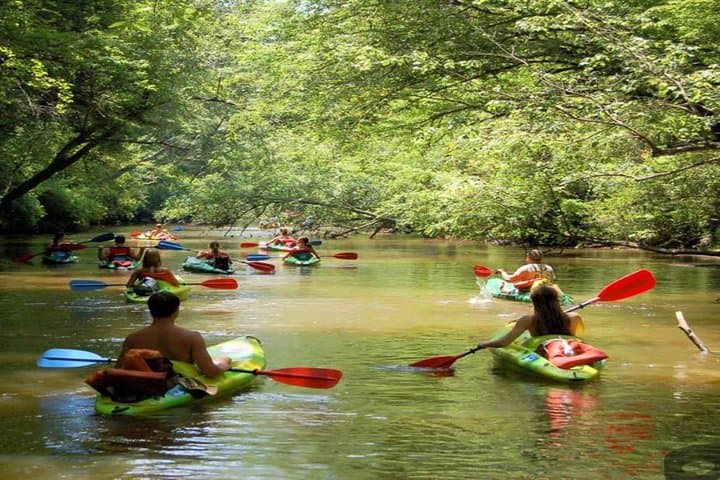Northern Phu Quoc Kayaking on Cua Can River and Rach Vem Village Day Tour