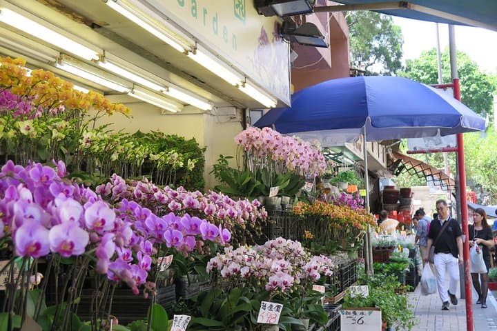 Hong Kong Private Shore Excursion: 4–6 Hour Highlights Tour with Private MPV photo 2