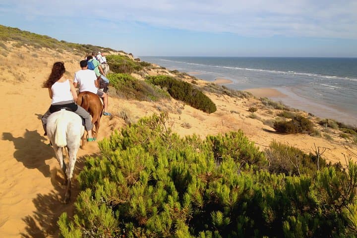 Doñana National Park Horseback & 4x4 Day Trip from Seville