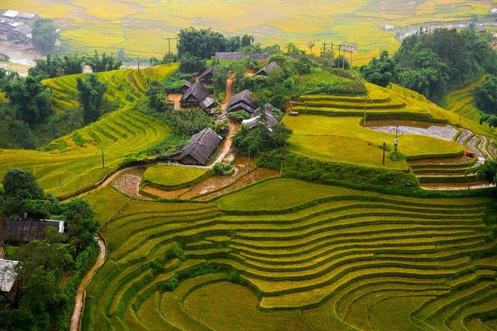 Sapa 3-Day Trek with Homestay: Ta Van, Giang Ta Chai & Rice Terraces