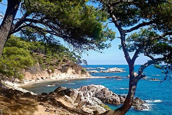 Costa Brava Small-Group Coastal Hike from Barcelona: Camí de Ronda & Hidden Coves photo 2