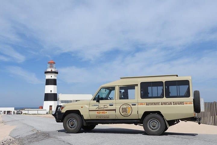 Cape Recife Lighthouse & Grysbok 4x4 Reserve Tour — Algoa Bay Day Trip