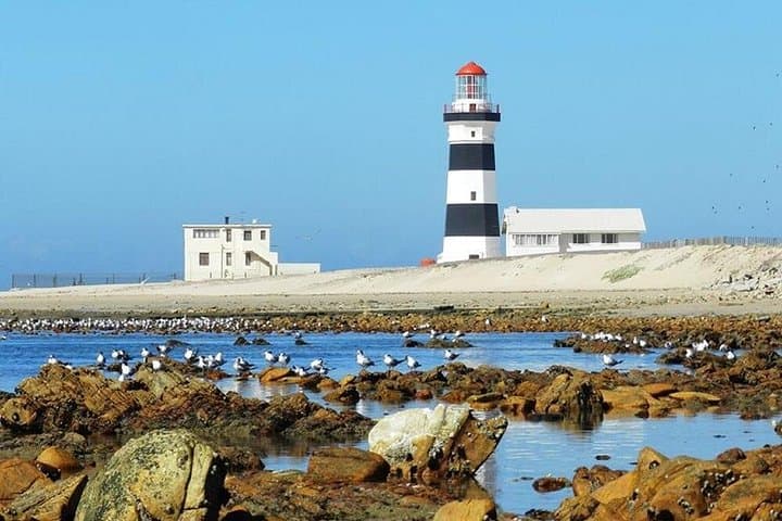 Cape Recife Lighthouse & Grysbok 4x4 Reserve Tour — Algoa Bay Day Trip photo 2