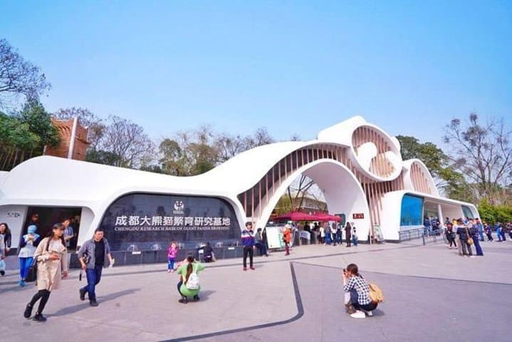 Chengdu Private Day Tour: Panda Base Morning & Leshan Giant Buddha Boat Experience photo 6