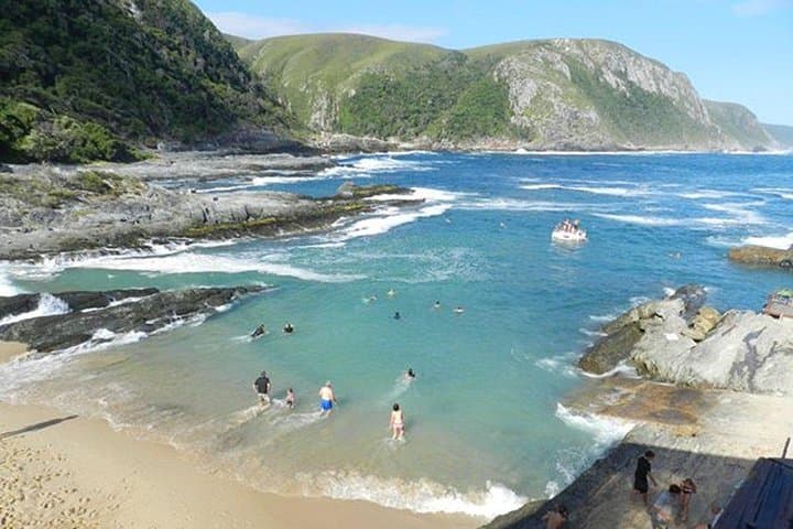 Garden Route Day Trip from Port Elizabeth to The Crags — Tsitsikamma, Monkeyland & Birds of Eden