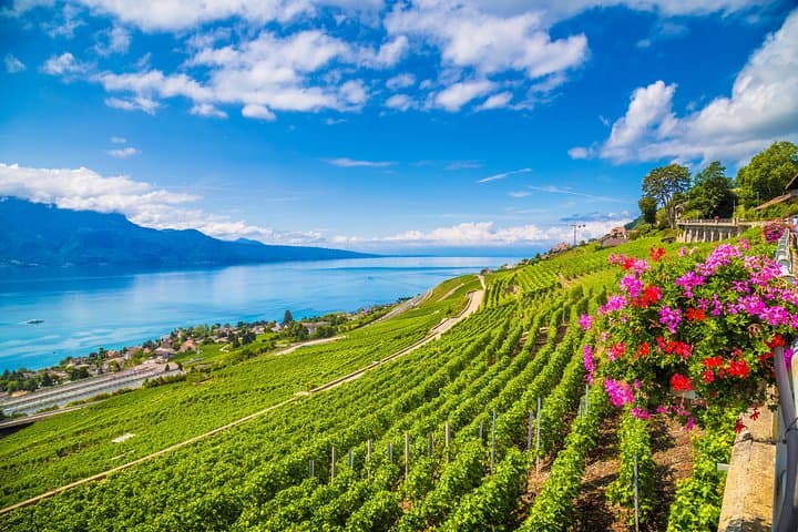 Geneva to Gruyère Day Trip: Cheese, Chocolate & Medieval Charm photo 5