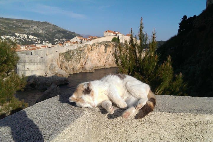 Dubrovnik Game of Thrones Private Driving Tour — Srđ, Trsteno & Filming Sites photo 4