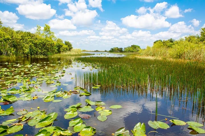 Miami & Everglades Combo: Airboat Thrills and Biscayne Bay Catamaran Cruise photo 5