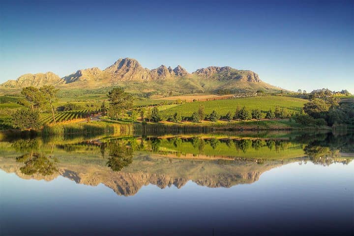 Cape Winelands Full-Day Wine Tour: Stellenbosch, Franschhoek & Paarl