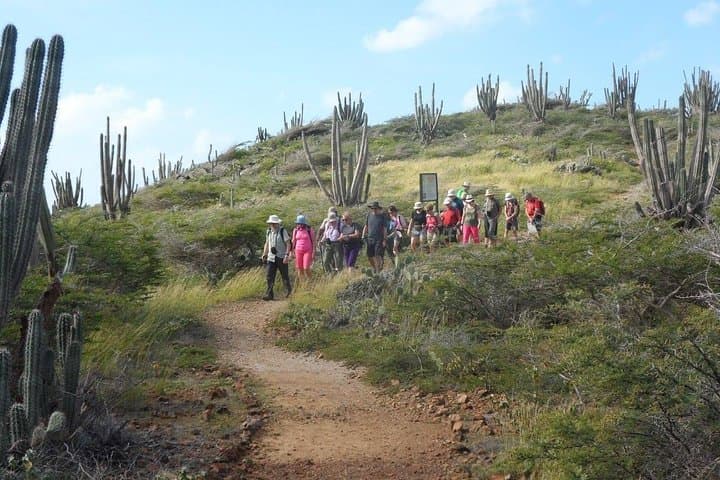 Arikok Adventurous Hiking Experience: Ranger-Led Trails in Aruba